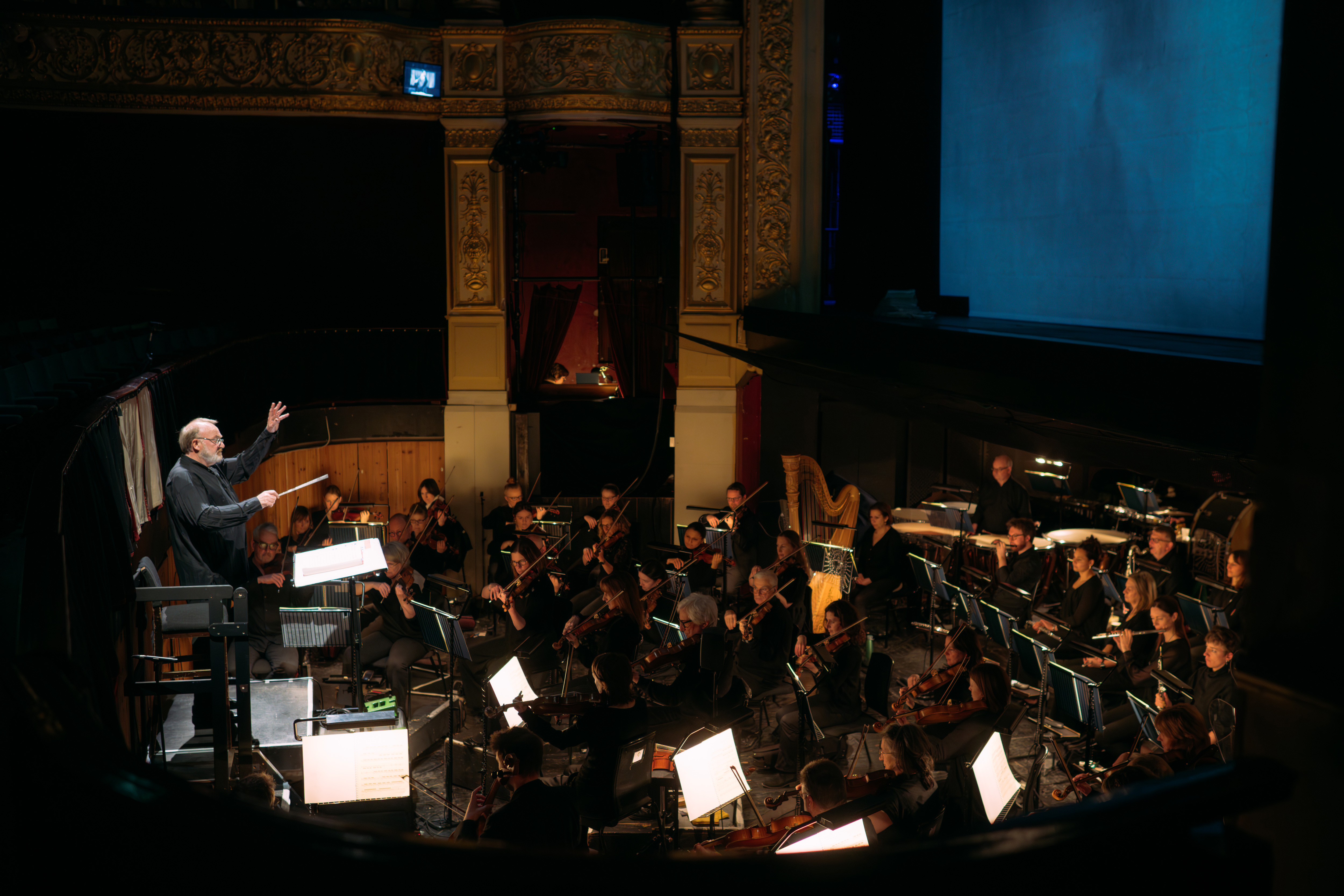 The Orchestra of Scottish Opera in The Makropulos Affair 2025. Credit Mihaela Bodlovic..